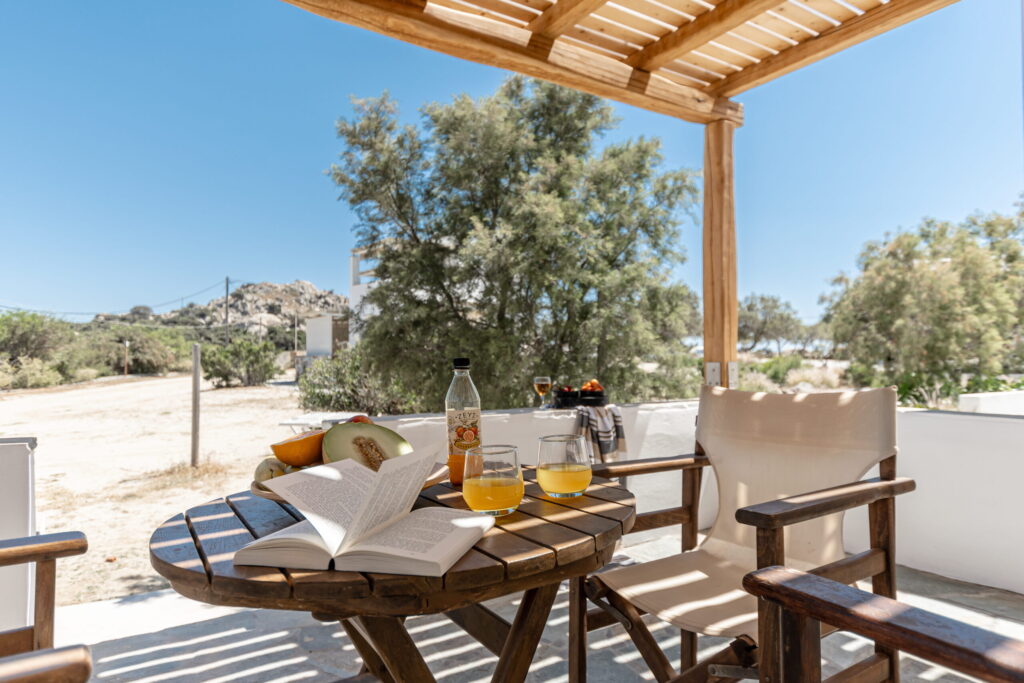 Studios Kontos in Naxos One Bedroom Apartment 18