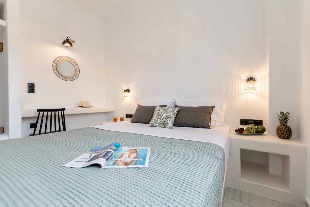 Studios Kontos in Naxos One Bedroom Apartment 28